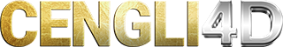 CENGLI4D